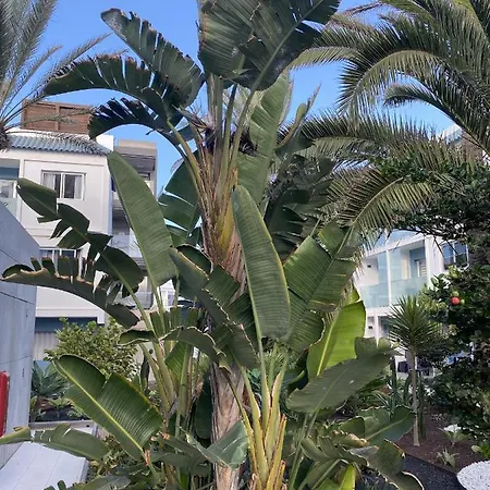 Sun And Surf דירה קורלחו