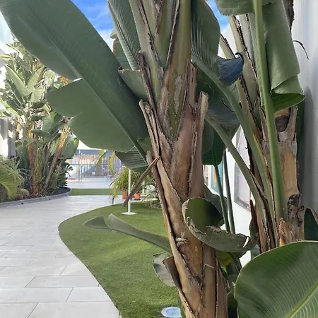 Sun And Surf * קורלחו