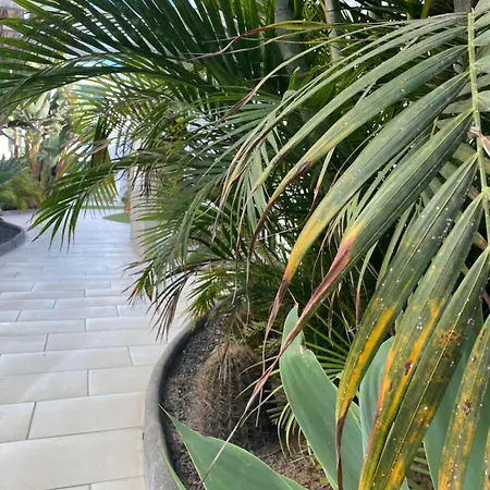 Sun And Surf דירה *