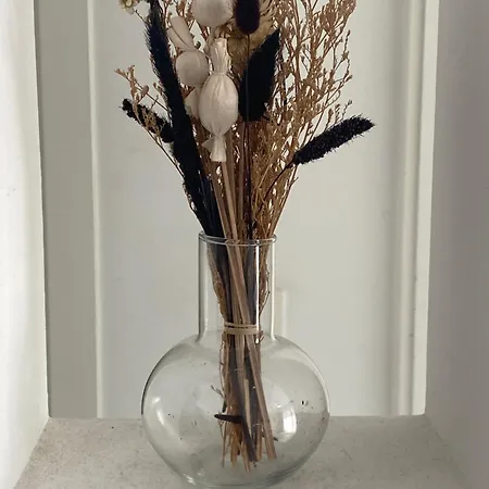 Sun And Surf * קורלחו