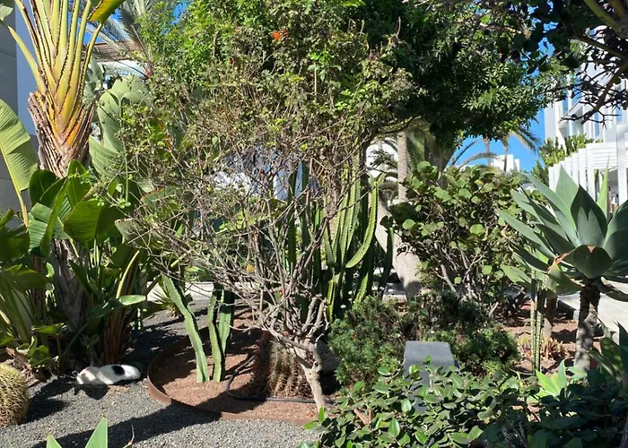 Sun And Surf Apartamento Corralejo