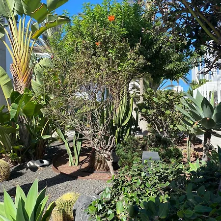 Sun And Surf Apartamento Corralejo