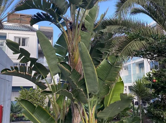 Sun And Surf Appartement Corralejo