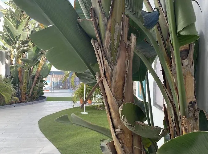 Sun And Surf * Corralejo