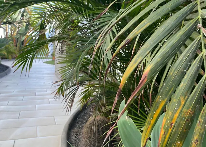 Sun And Surf Appartement *